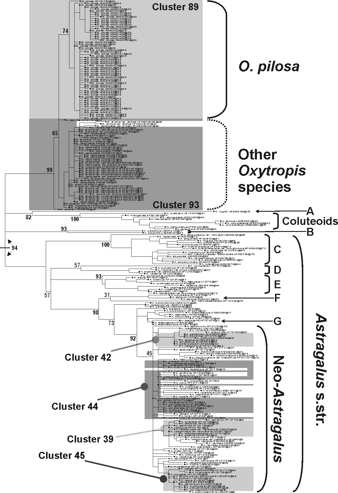 Artcluster in Astragalus vs Oxytropis